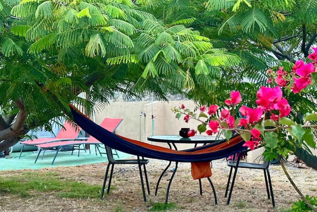 Willa Peaceful Oasis With Magical Sea Views And A Pool Santa Cruz de Tenerife Zewnętrze zdjęcie