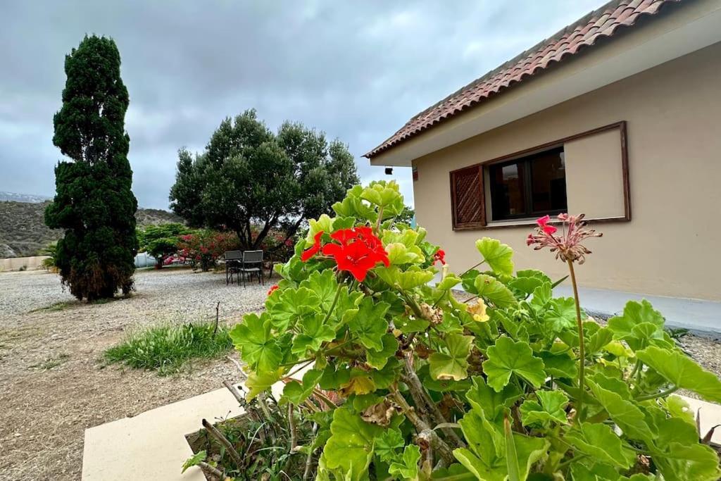 Willa Peaceful Oasis With Magical Sea Views And A Pool Santa Cruz de Tenerife Zewnętrze zdjęcie